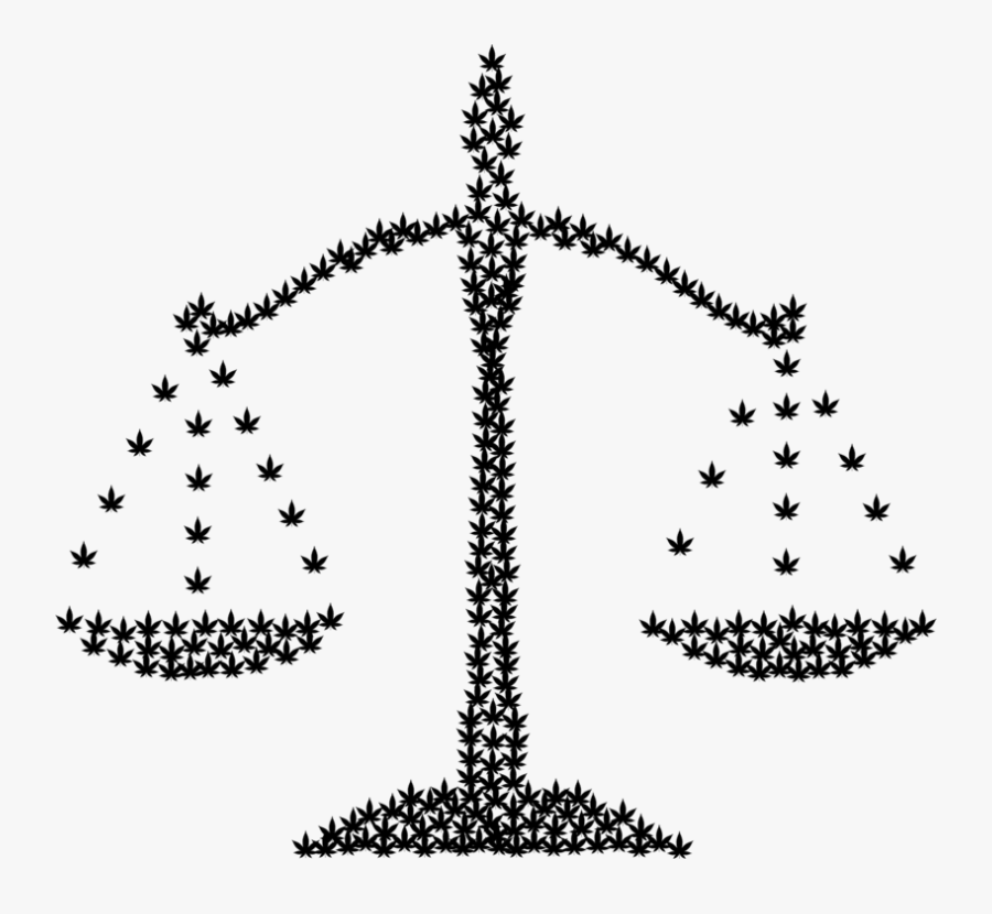 Fir,pine Family,christmas Decoration - Marijuana Legalization Clip Art, Transparent Clipart