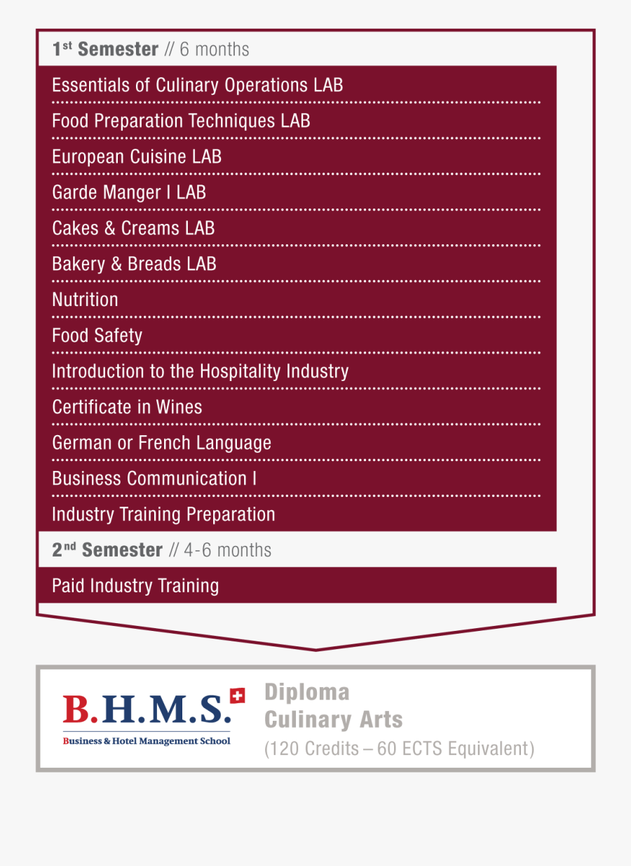 Diploma Culinary Arts - Bhms, Transparent Clipart
