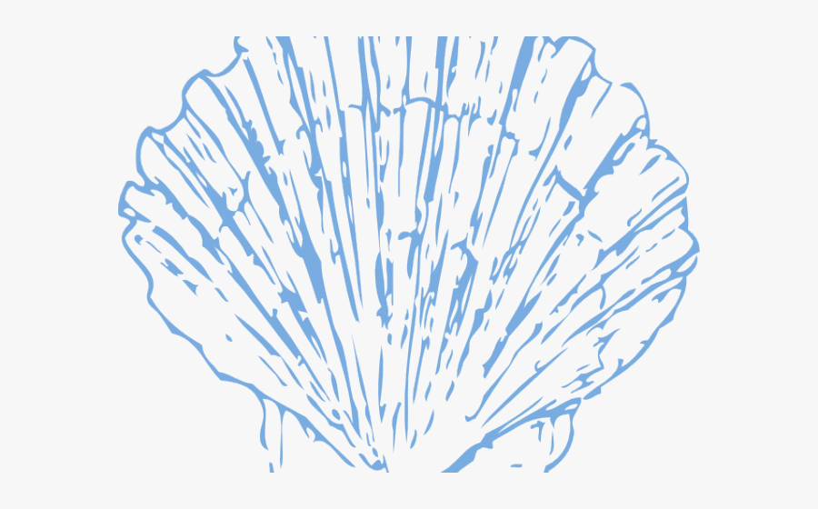 Coral Shell Clipart, Transparent Clipart