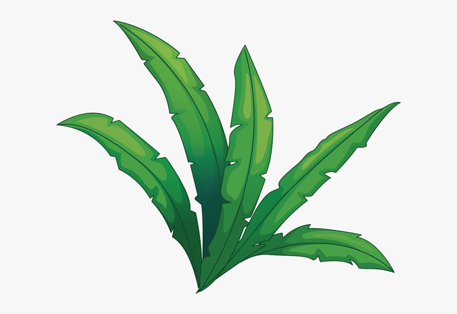 Jungle Plant Transparent - Transparent Jungle Clipart, Transparent Clipart