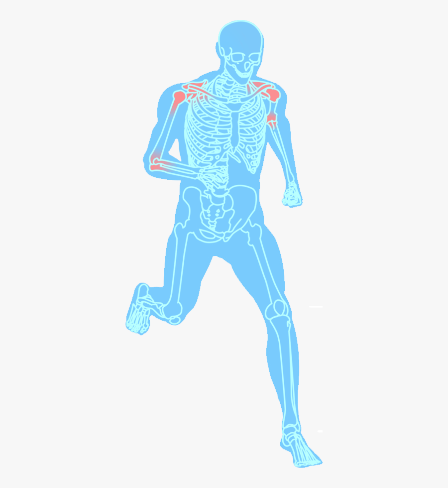 Image - Illustration, Transparent Clipart