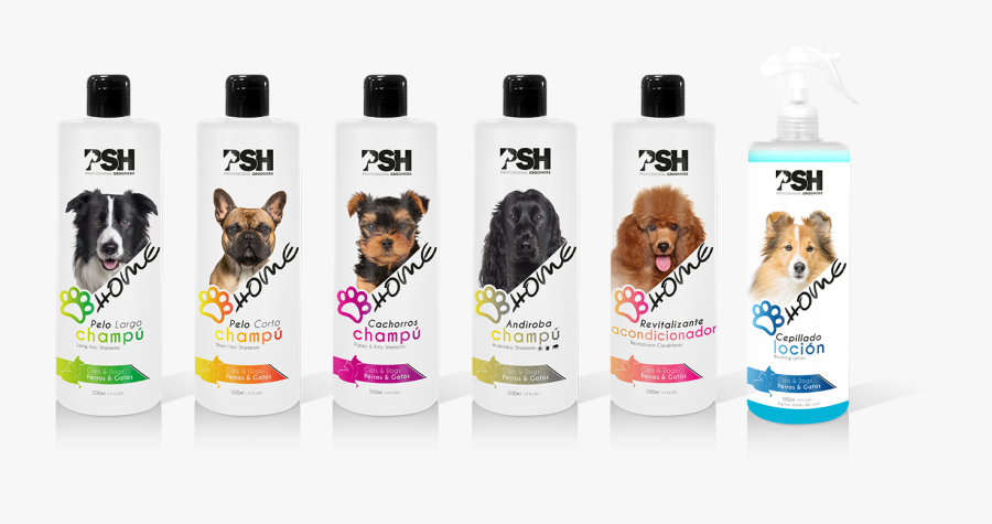 Transparent Perros Png - Puppy, Transparent Clipart