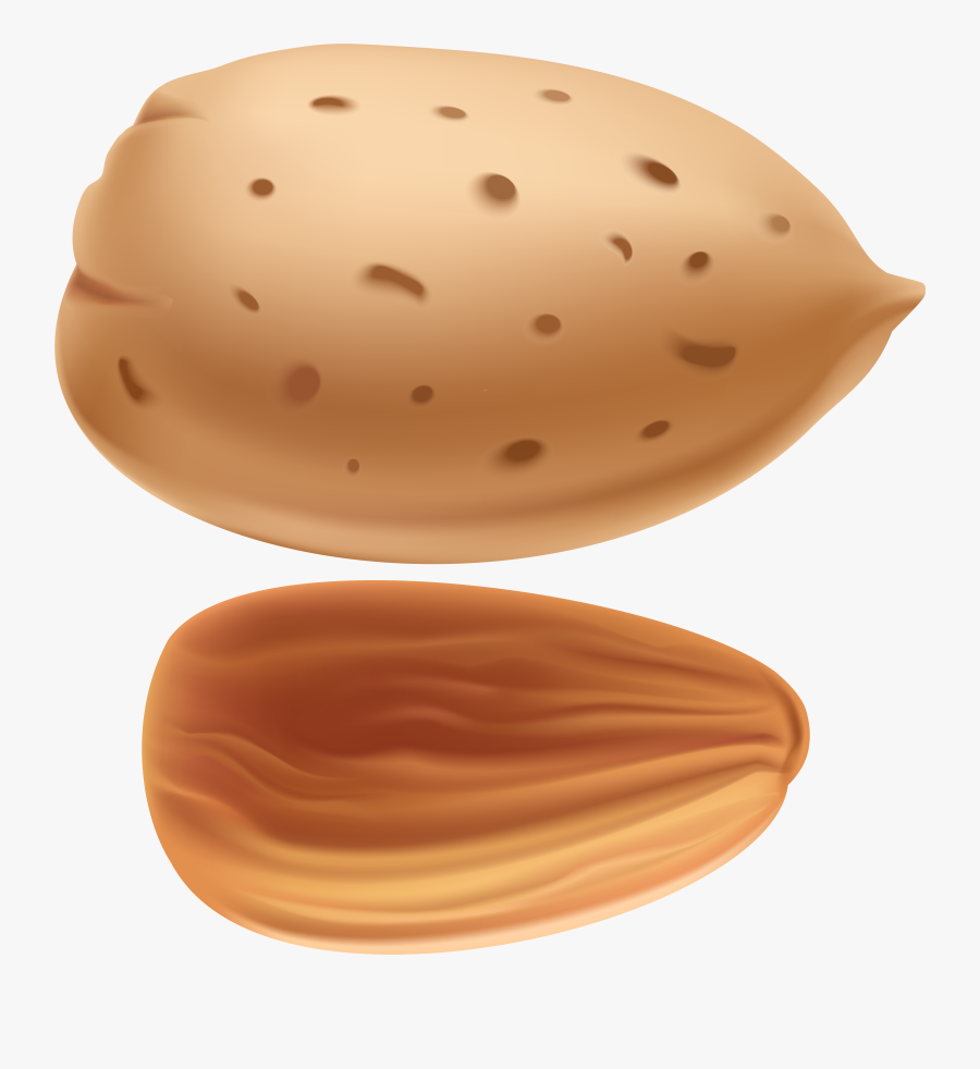Champu Clipart, Transparent Clipart