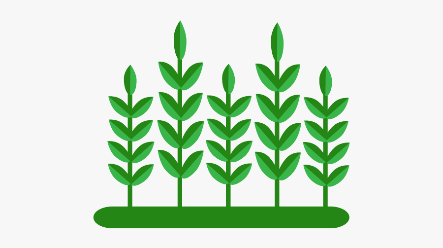 Printing, Transparent Clipart