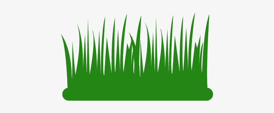 Grass, Transparent Clipart