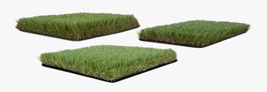 Lawn, Transparent Clipart