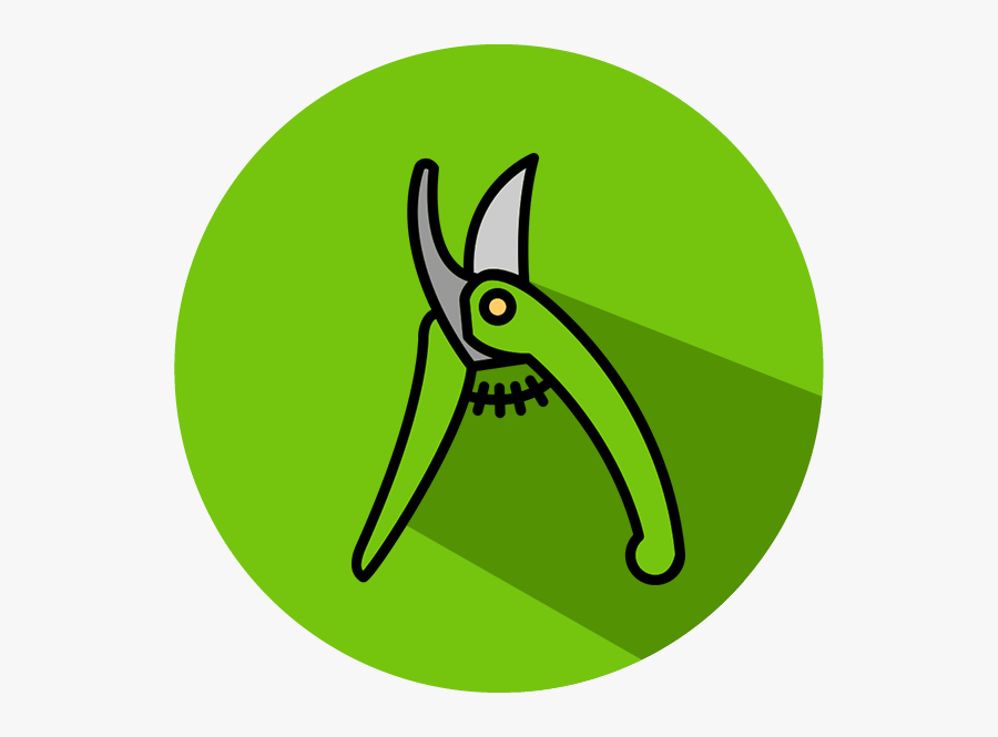 Image01, Transparent Clipart