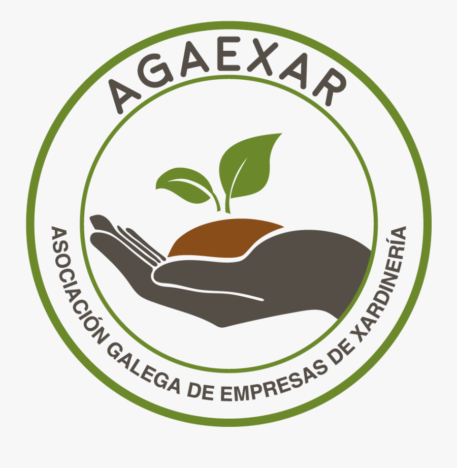 Magazine, Transparent Clipart