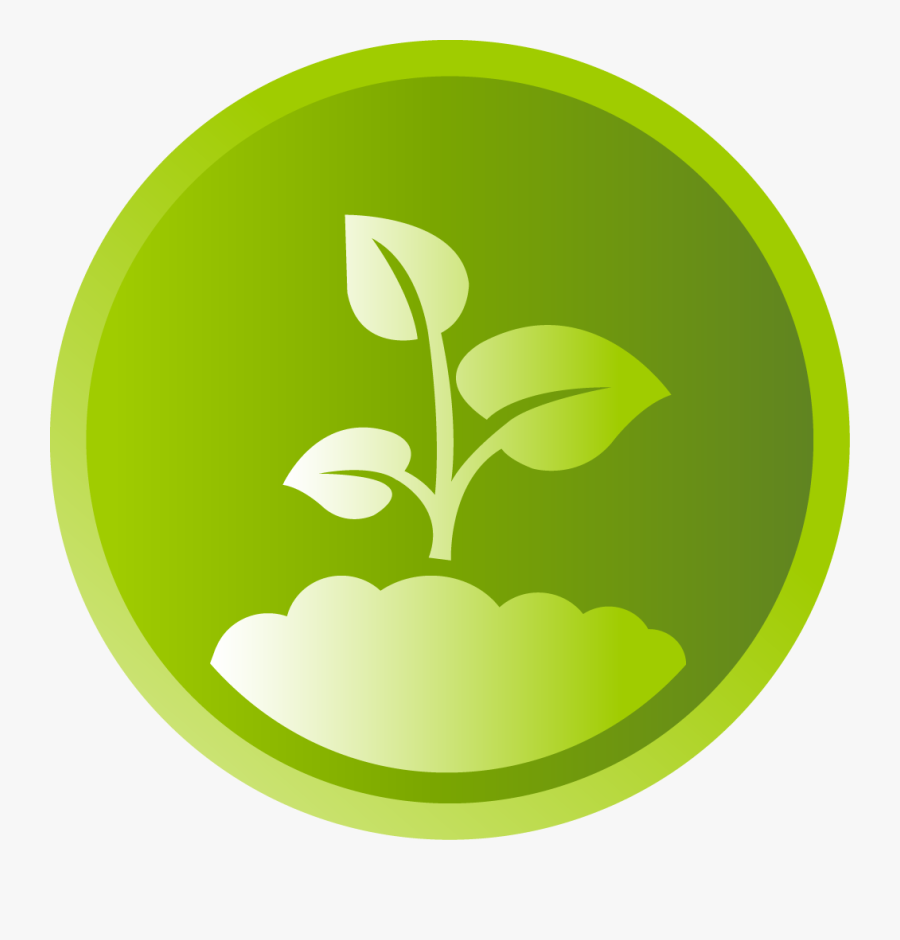 Icon - Circle, Transparent Clipart