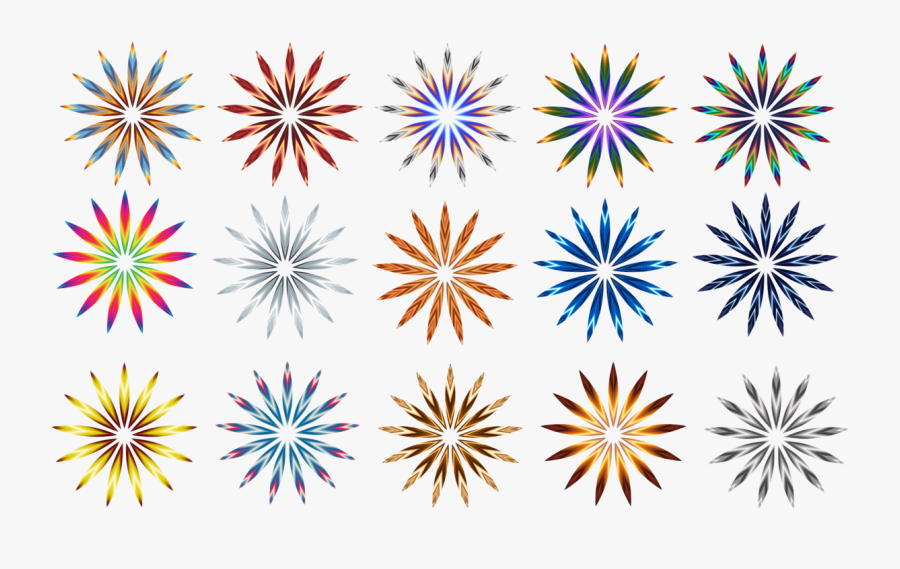 Petal,plant,flower - Illustration, Transparent Clipart