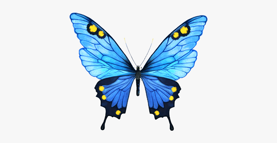 Infinity Clipart Butterfly - Camiseta Metánoia, Transparent Clipart