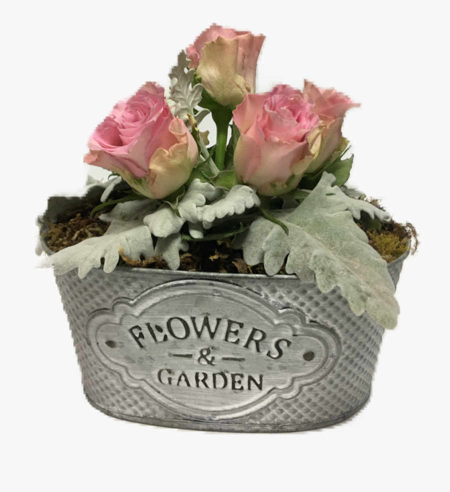 Transparent Mason Jar Flowers Png - Hybrid Tea Rose, Transparent Clipart