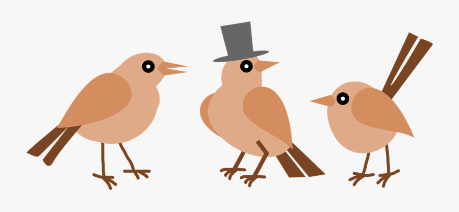 Birds Animals Vintage Free Photo - Tres Passarinhos Em Png, Transparent Clipart