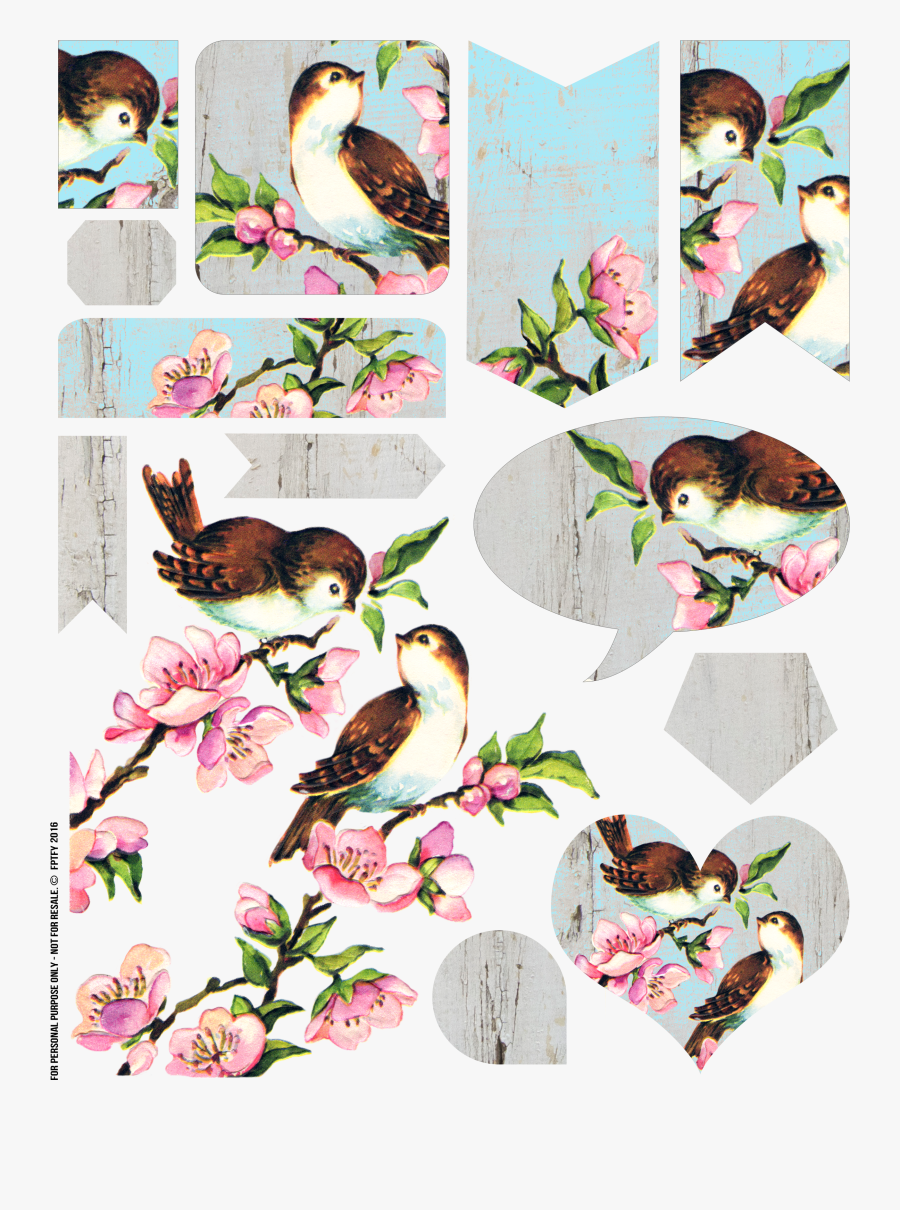 Free Vintage Bird Collage Sheet - Vintage Love Birds Clipart, Transparent Clipart