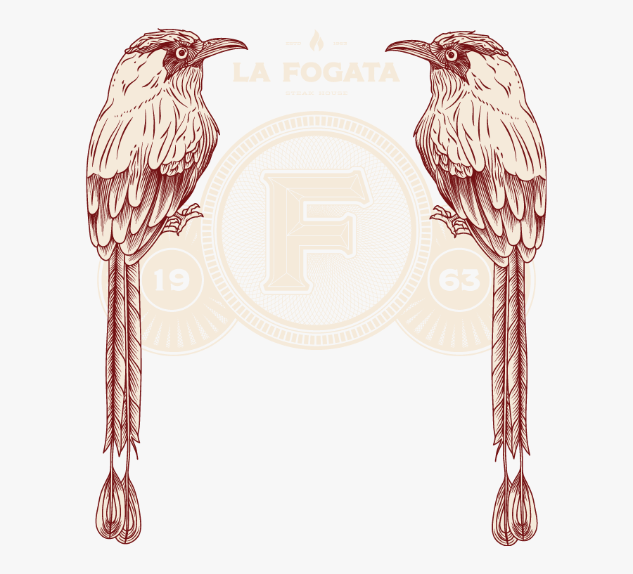 Transparent Fogata Png - Illustration, Transparent Clipart