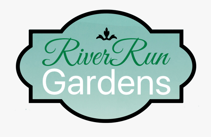 Cake, Transparent Clipart