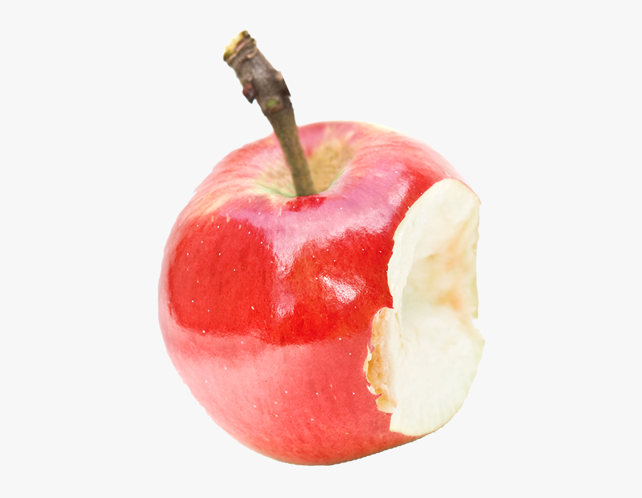 Image - Apple Waste Png, Transparent Clipart