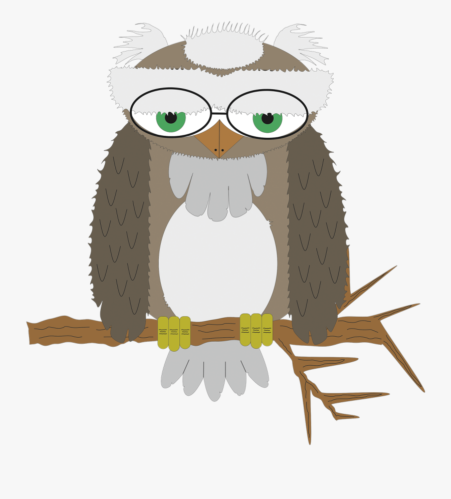 Owl Wisdom Bird Of Prey Free Photo - Cartoon, Transparent Clipart