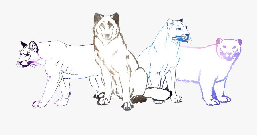 Beasts Of The Galaxy - Sketch, Transparent Clipart