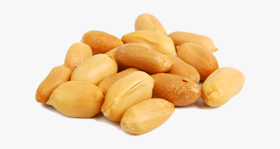 Sudden Lunch Suzy Bowler - Baked Goods, Transparent Clipart