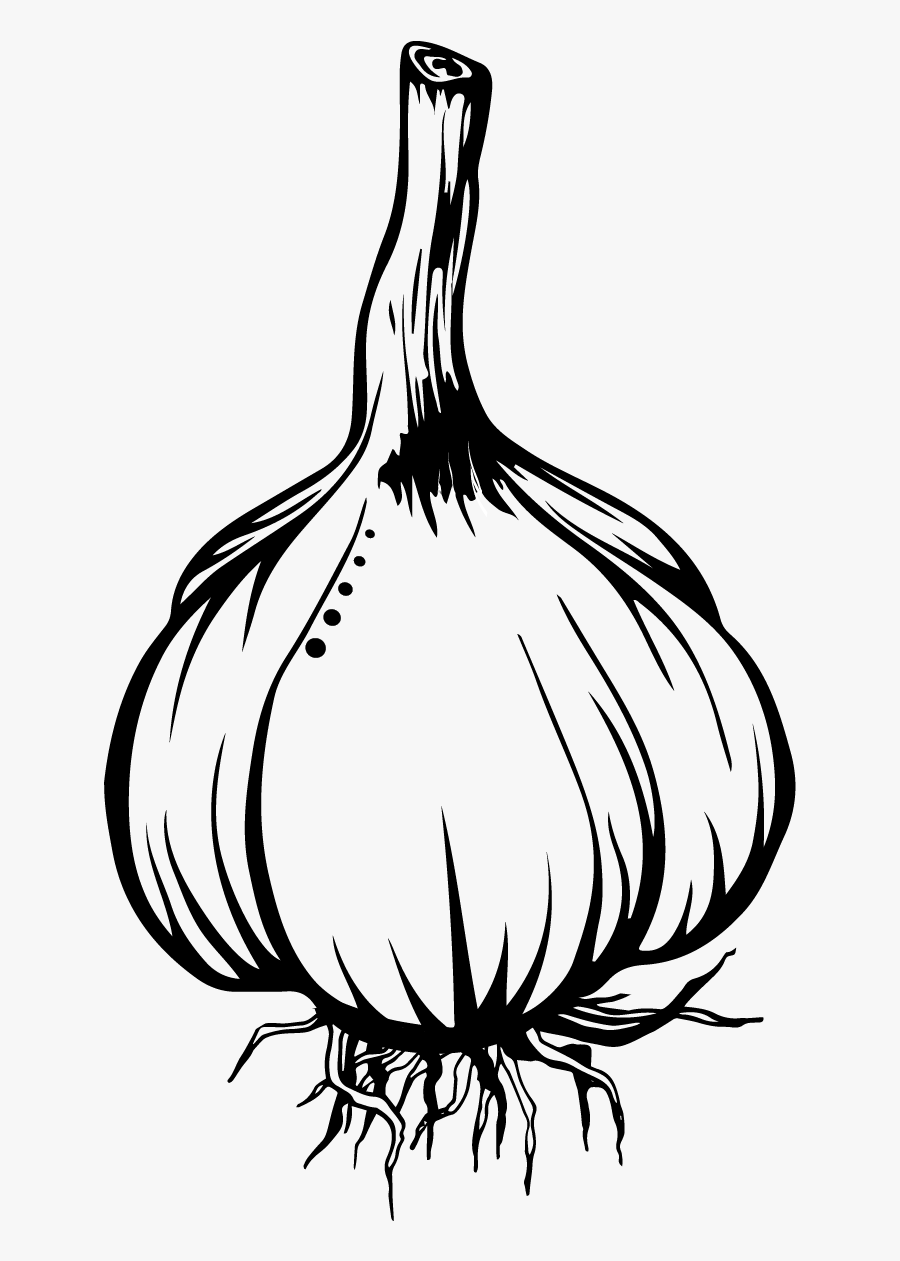 Onion Clipart Drawing - Yellow Onion, Transparent Clipart