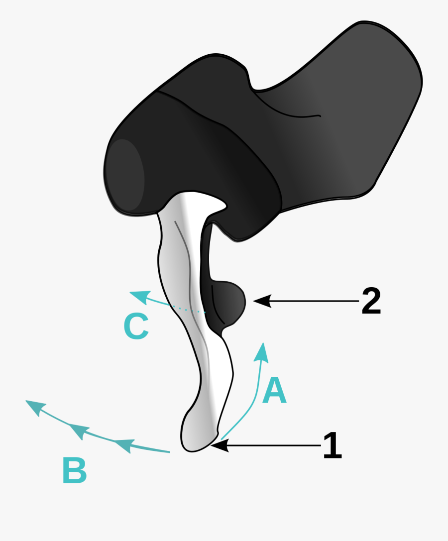 Shimano Total Integration, Transparent Clipart