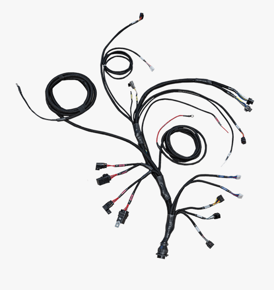 Pro550 V8 Complete Harness - Illustration, Transparent Clipart