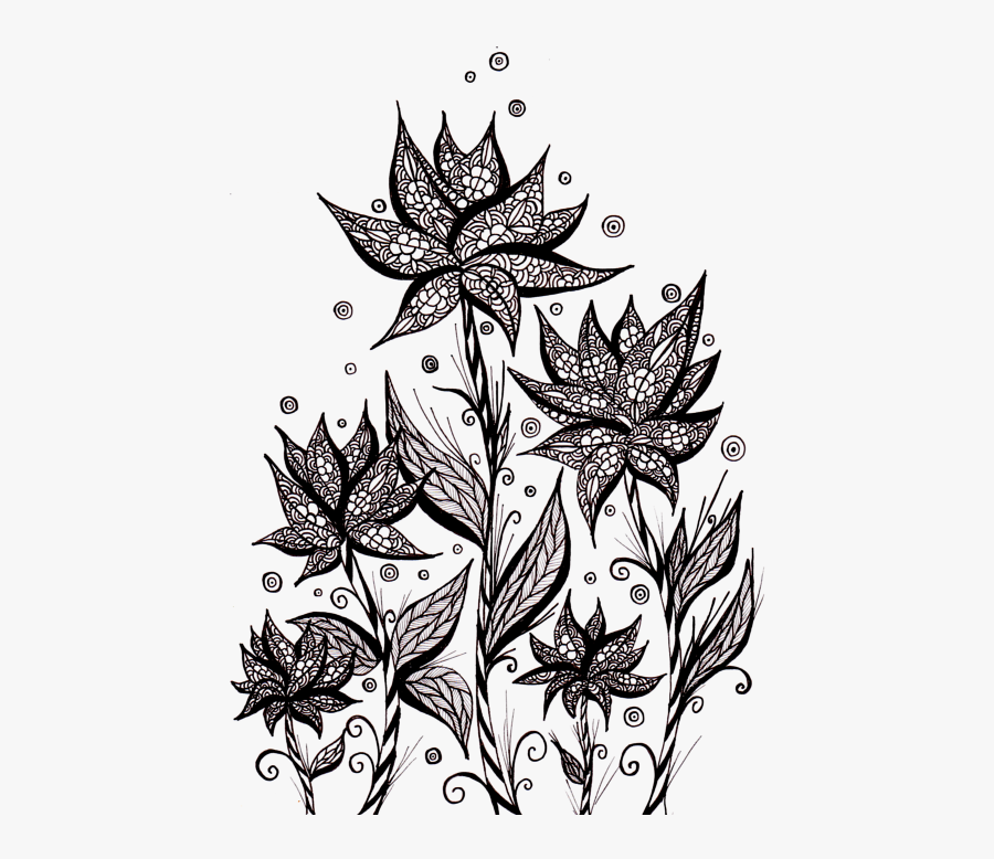 Line Art, Transparent Clipart