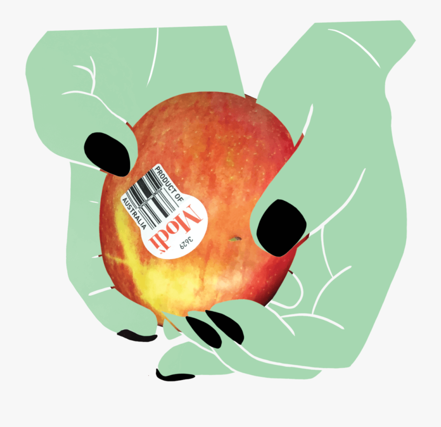 Apple In Hands - Illustration, Transparent Clipart