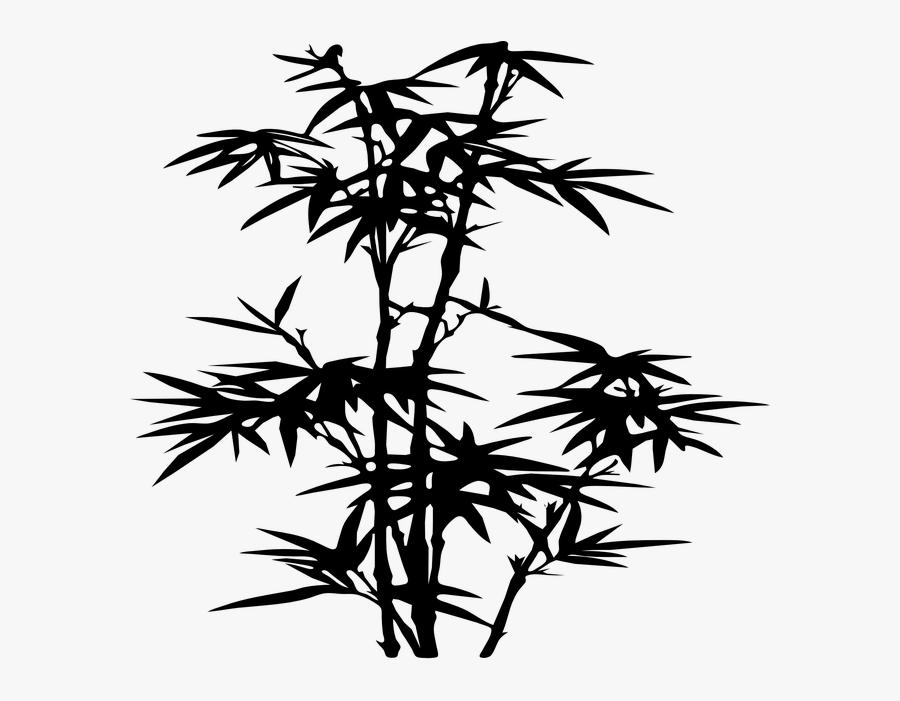 Bamboo, Plant, Black, Silhouette, Leaves - Bamboo Silhouette Png, Transparent Clipart