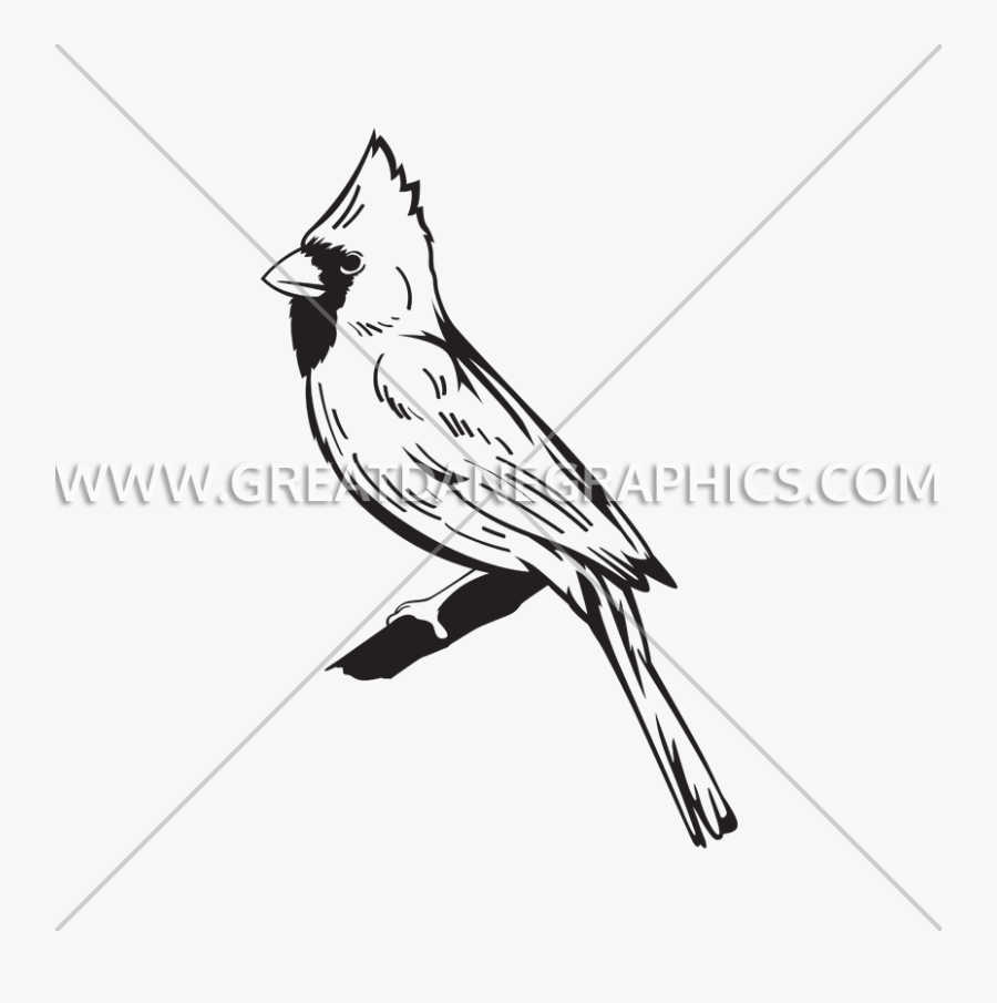 Cardinal Svg Branch Clipart Cardinal Logo Bird White And Black Free Transparent Clipart Clipartkey