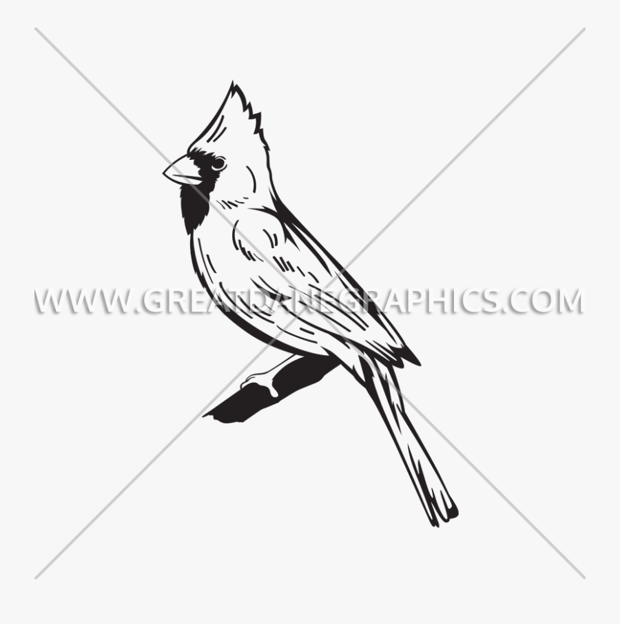 Cardinal Svg Branch Clipart - Cardinal Logo Bird White And Black, Transparent Clipart