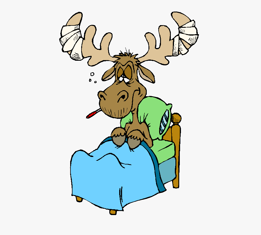 Moose Clipart Sick - Sick Moose Cartoon, Transparent Clipart