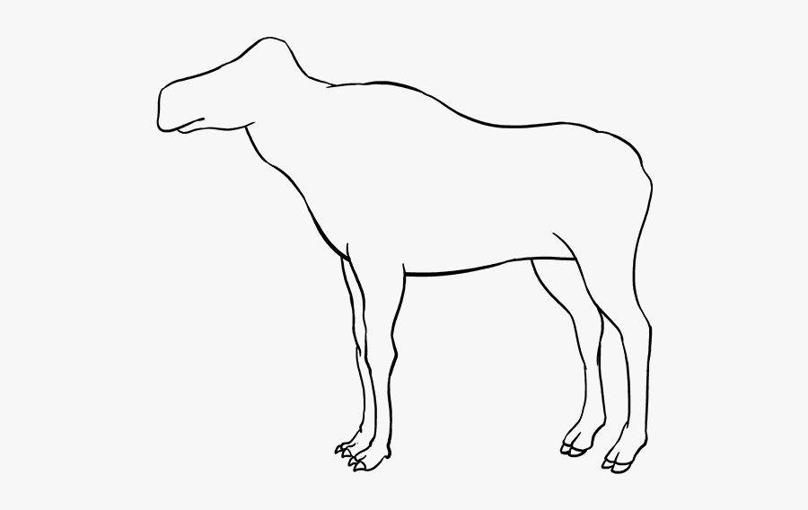 How To Draw Moose - Moose Drawing, Transparent Clipart