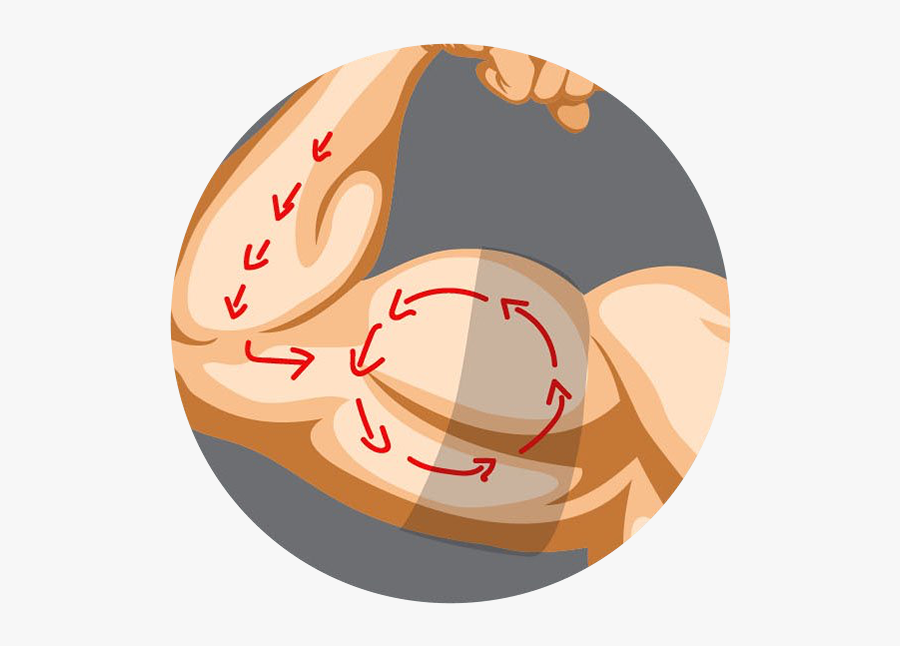 Circle, Transparent Clipart