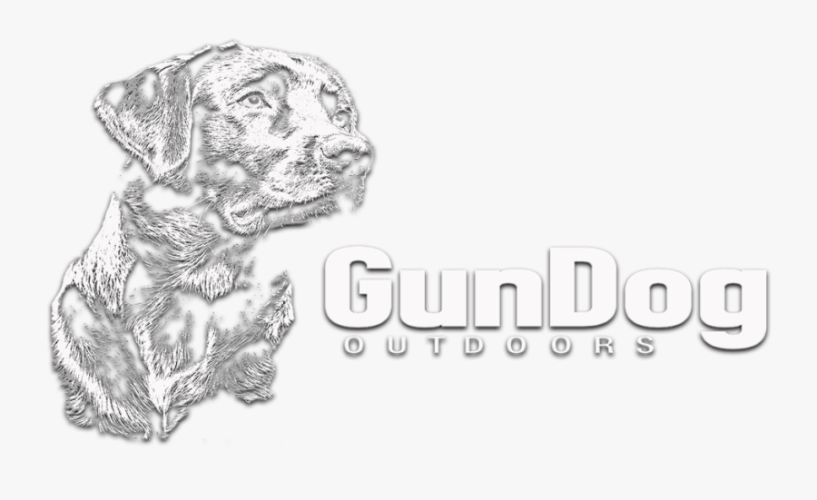 Mallard Drawing Black Labrador - Sketch, Transparent Clipart