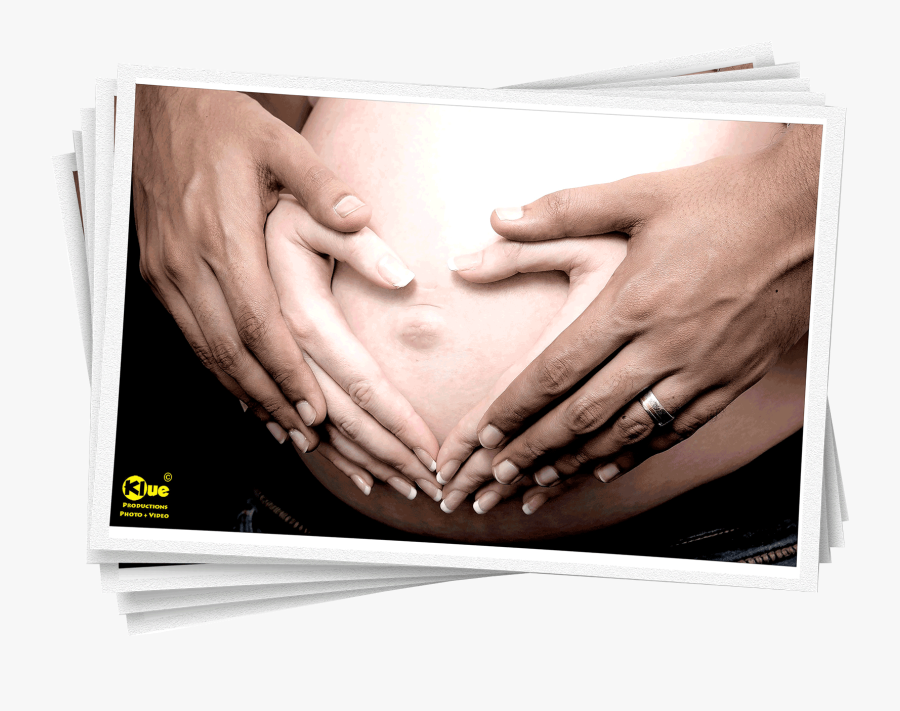 Clip Art Maternity Photographer Photographic Studio - Navel, Transparent Clipart