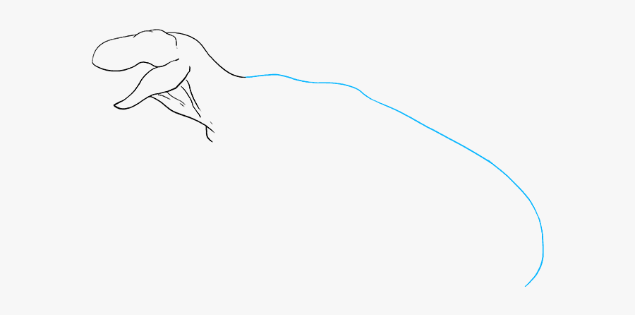 How To Draw Tyrannosaurus Rex - Sketch, Transparent Clipart