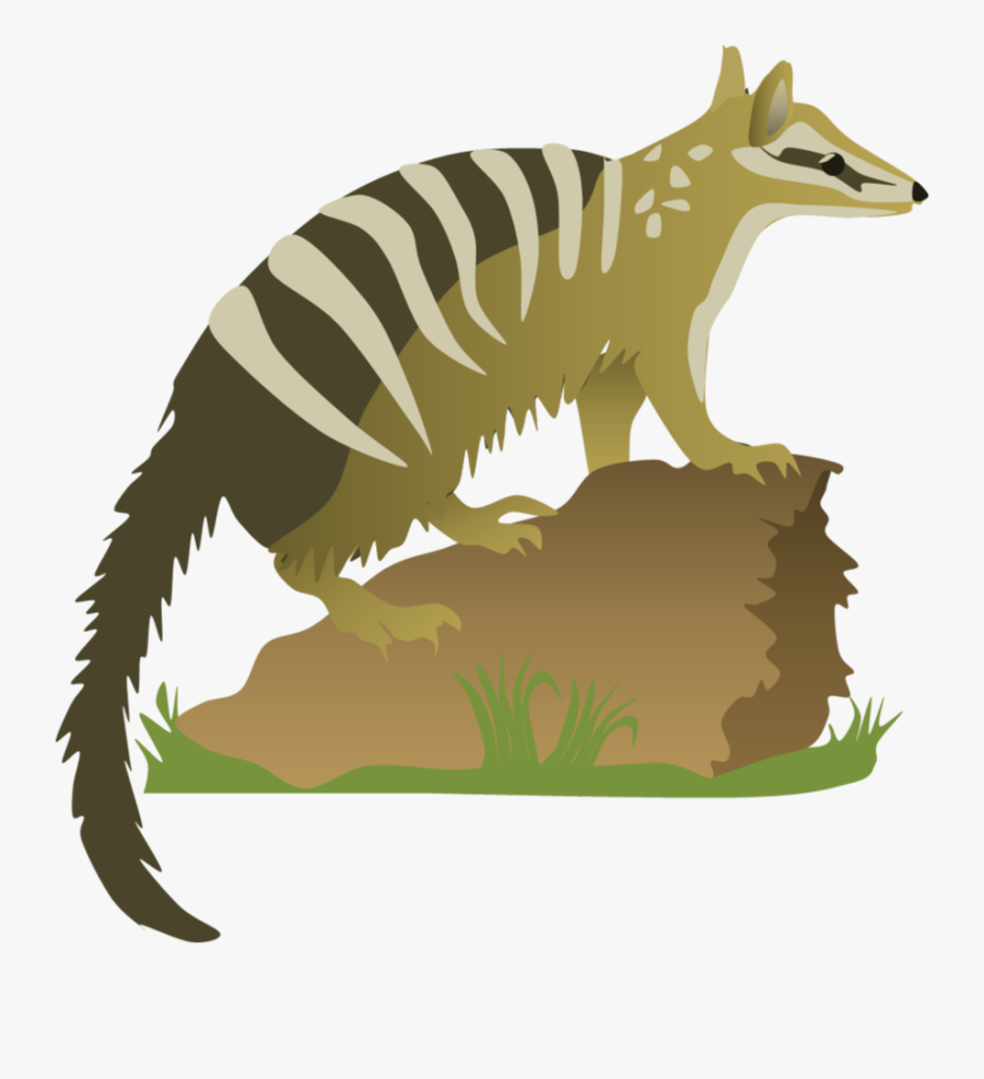 Clip Art Red Fox Marsupial Clip - Numbat Png, Transparent Clipart