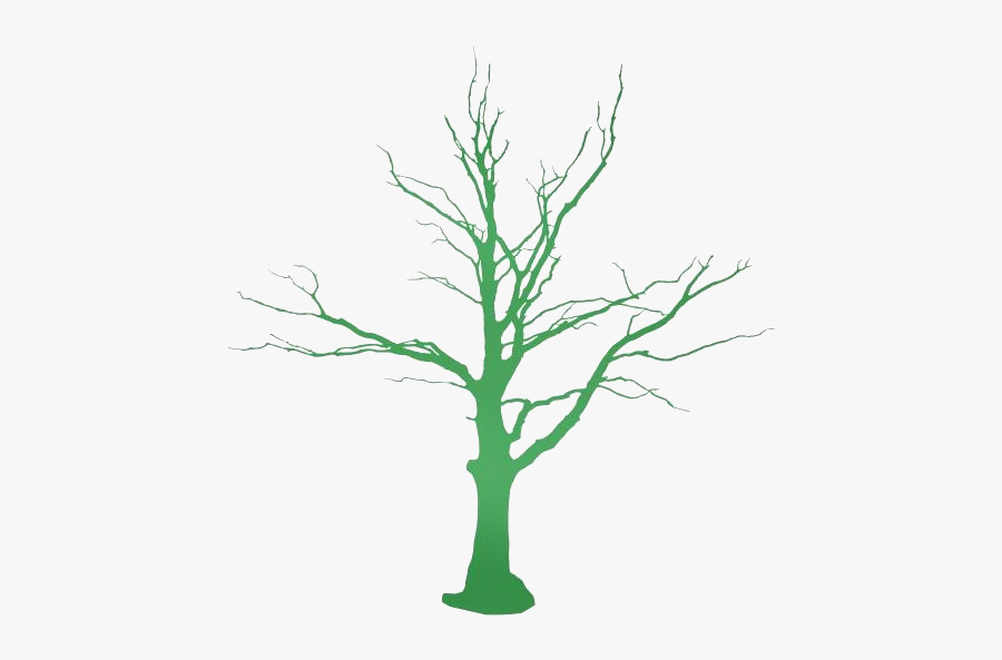 Walnut Tree Art Png Full Hd With Transparent Bg - Dead Tree Png, Transparent Clipart
