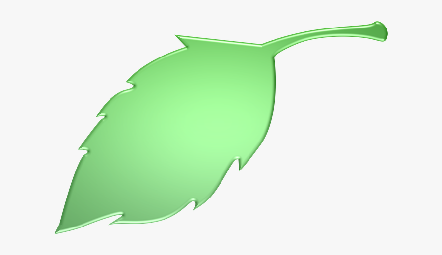 Green Leaves Clipart Long Leaf - Illustration, Transparent Clipart
