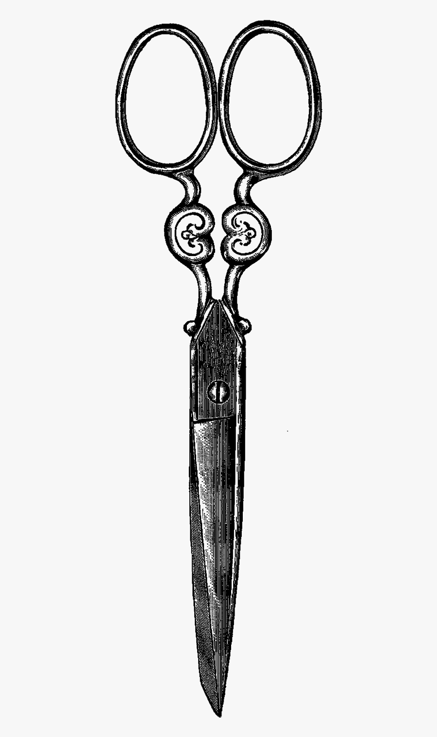 Sewing Drawing Scissor - Sketch, Transparent Clipart