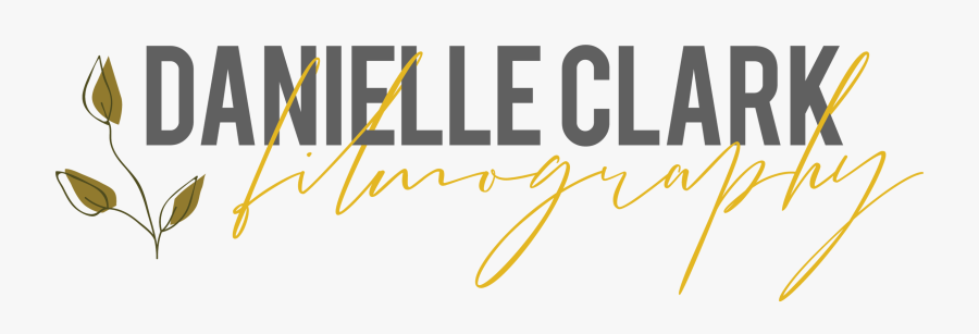 Logo Web Highres - Calligraphy, Transparent Clipart
