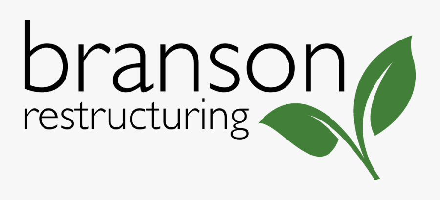Branson Restructuring Is A Consultancy Offering Mentoring, - Medical Lien Management, Transparent Clipart