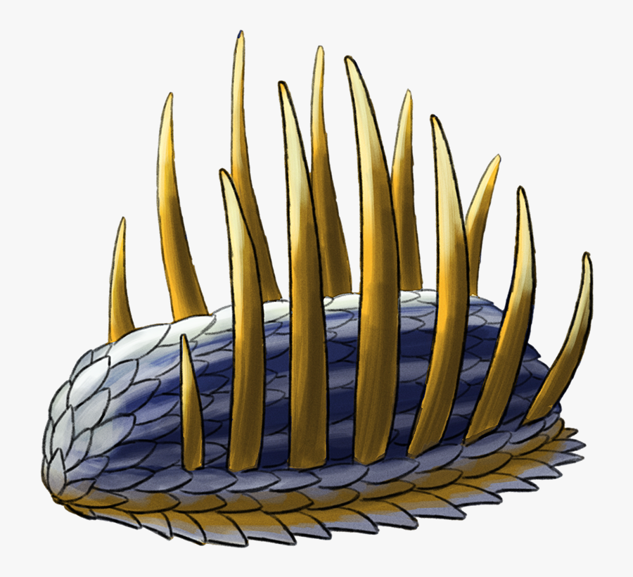 Wiwaxia Burgess Shale, Transparent Clipart