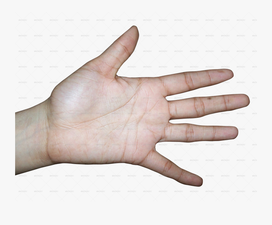 Human Textures By Chandank - Female Hand Hand Texture, Transparent Clipart