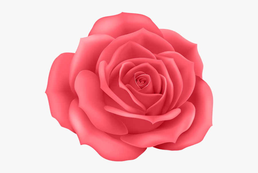 Rose Png - Rose Flowers Cartoon Png, Transparent Clipart