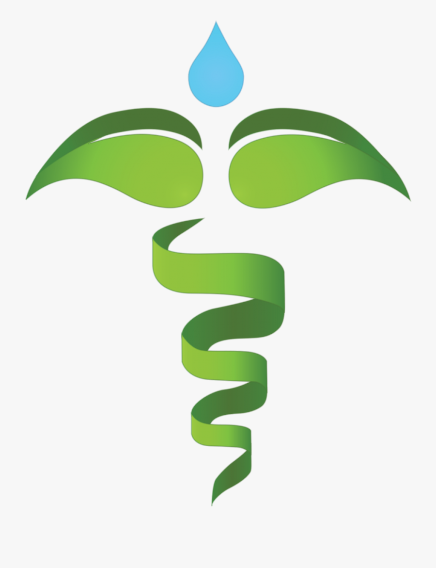 Health And Nature Environment Icon Png Clipart , Png - Simbolo De Medicina Holistica, Transparent Clipart