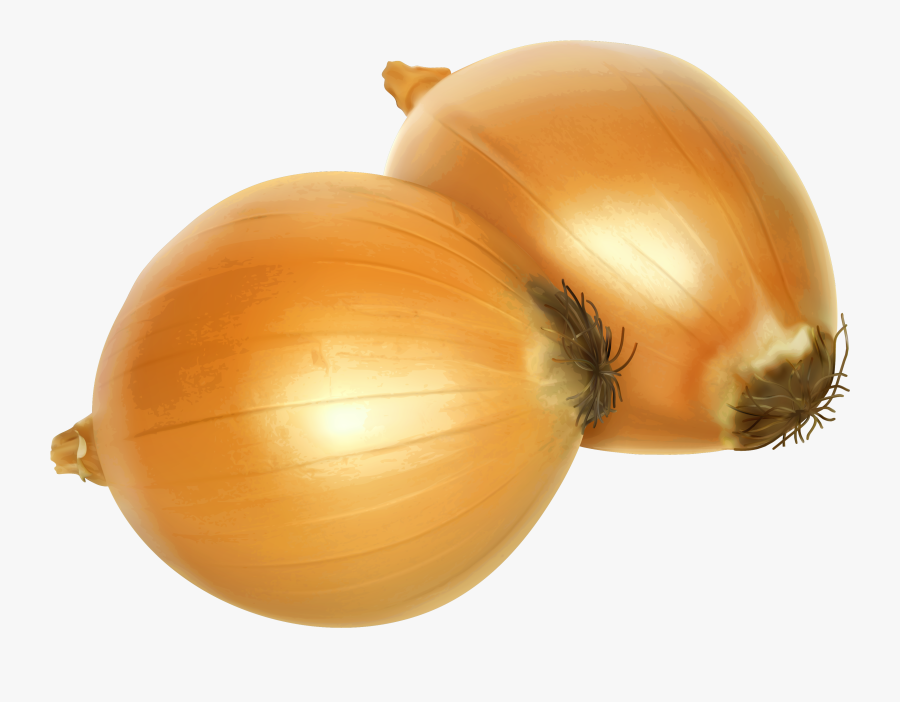Onion Clip Art - Onions Clipart, Transparent Clipart