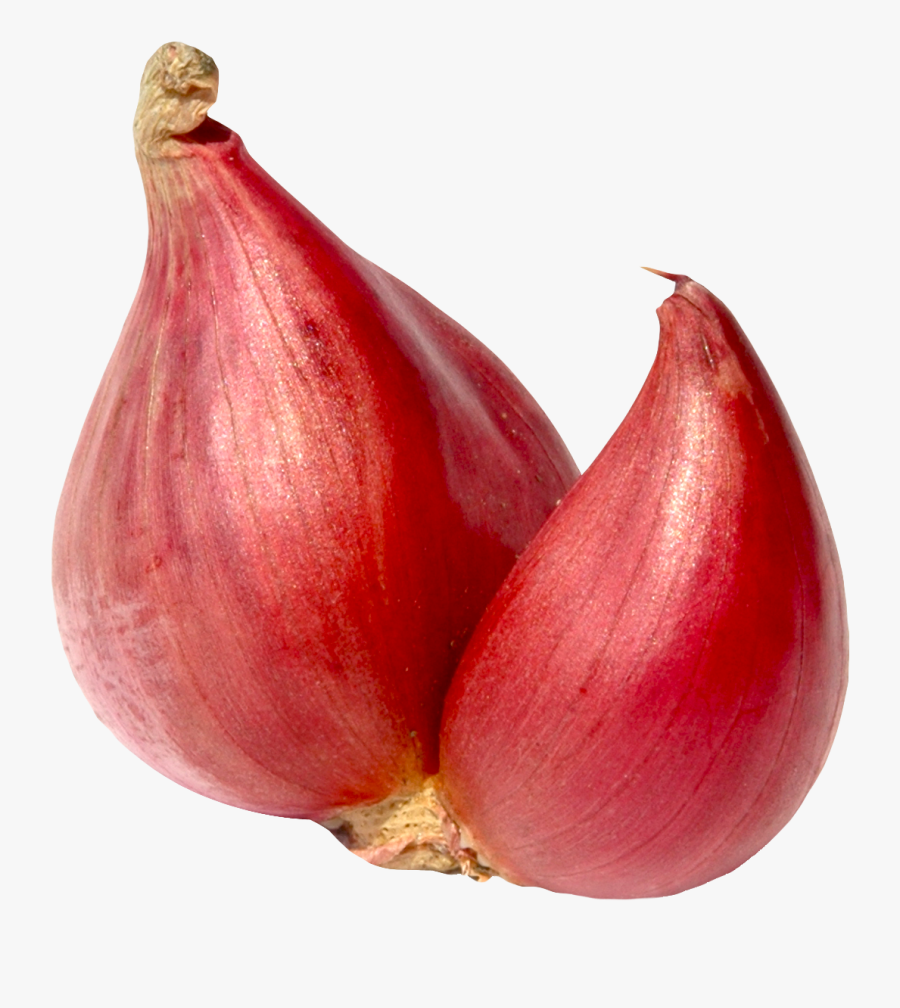 Shallot Onion Png, Transparent Clipart